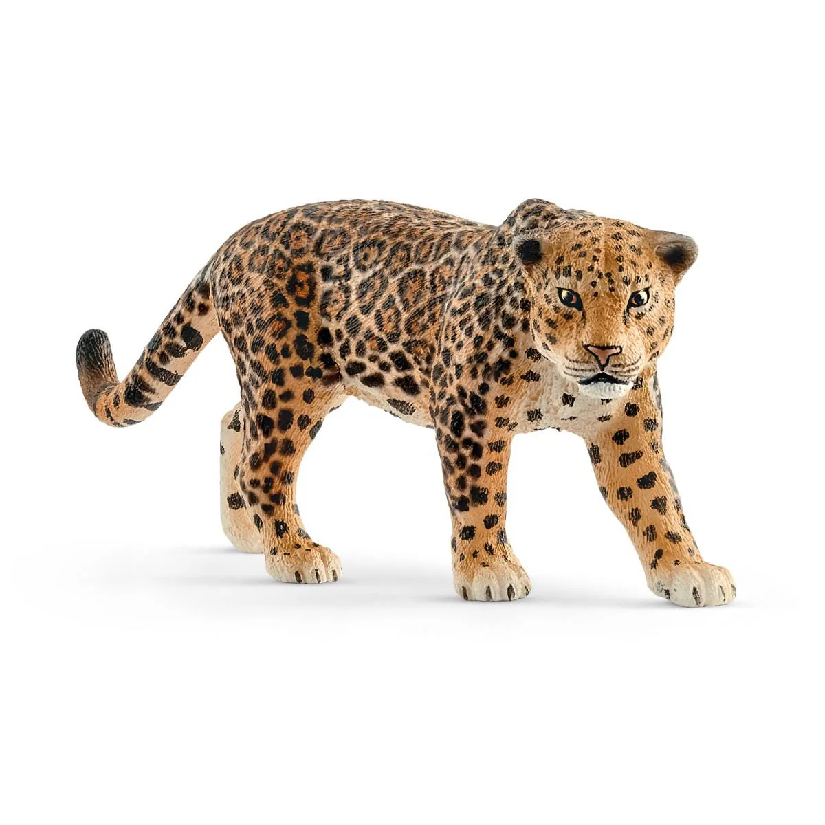 Summer Sale Wild Life